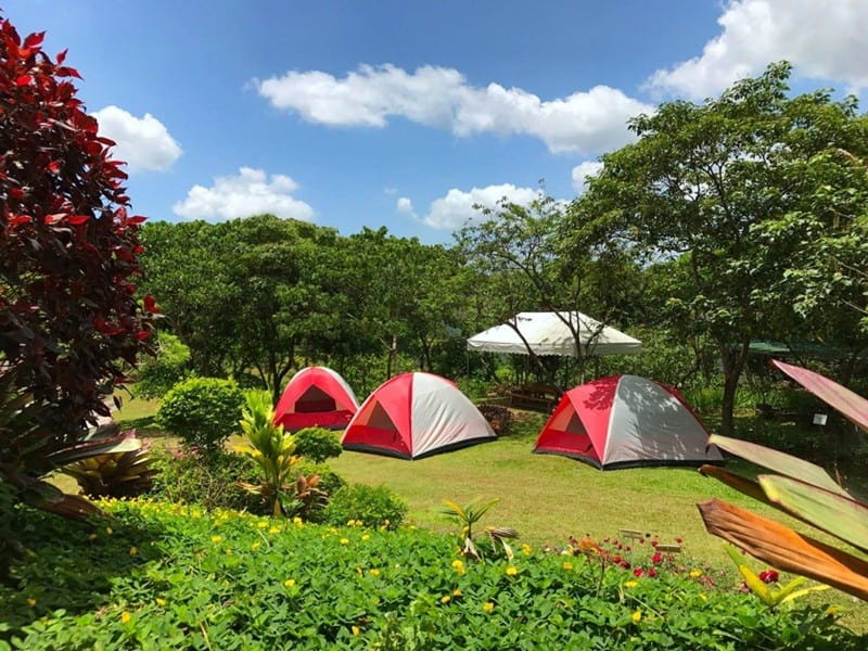 Cắm trại tại Ecopark