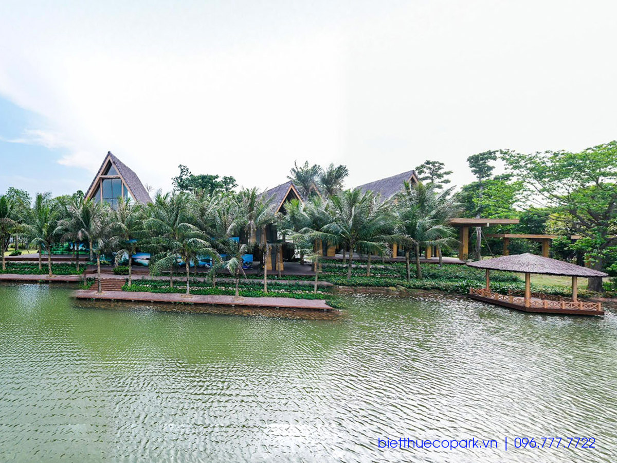 Video giới thiệu biệt thự Đảo Ecopark, diện tích 1800m2 giá bán 198 tỷ đồng