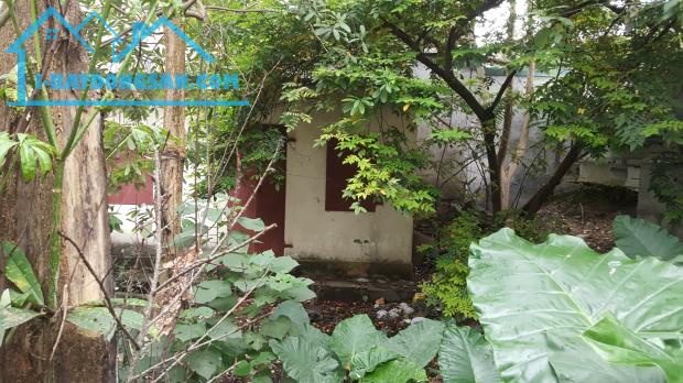 Bán nhà mặt phố mương Kẻ Khế Vạn Phúc Kim Mã quận Ba Đình Hà Nội